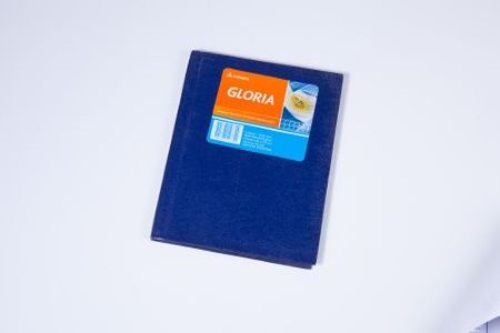 Cuaderno Gloria Araña Cuadriculado Escolar  N°1 (16x21) Azul Tapa Dura 42 hojas -2